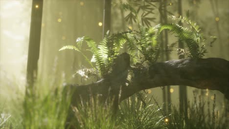 horizontally-bending-tree-trunk-with-ferns-growing,-and-sunlight-shining